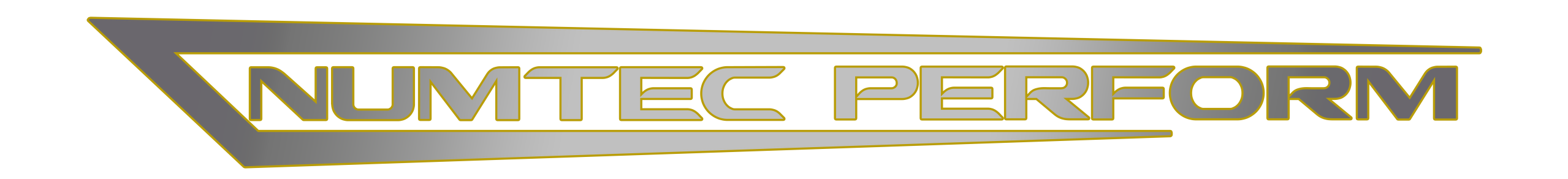 Logo 3D Druck Iacono - Numtec Perform